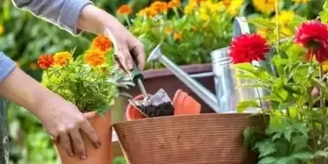 15x tuintips voor de maand maart!