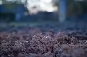 Tuinieren op kleigrond