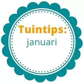 Wat te doen in de tuin in januari?