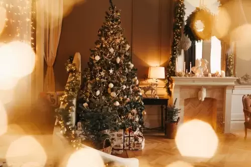 Er is behoefte aan Loodgieter beweeglijkheid Kersttrends en stijlen van 2019 | Ontdek ze hier