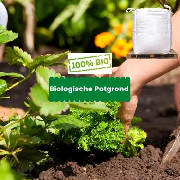 Biologische Potgrond