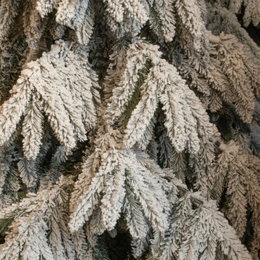 Breithorn Frost kunstkerstboom | Groen met sneeuw | H230cm - afbeelding 2